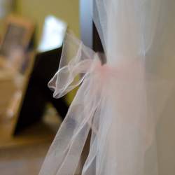 R & C Baby Shower  - Tutus