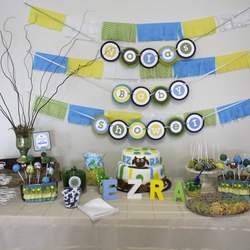 Nora's Baby Shower - Owls