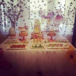 Butterfly Garden Party - Butterfly Garden