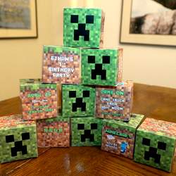 Minecraft - None