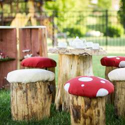 Fairy Tea Party - Fairies, Tea, Toadstolls and Lightening Bugs