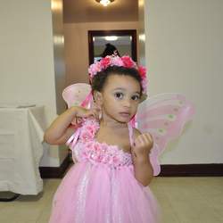 Alannah's 2nd Fairy Birthday Party - Fairy