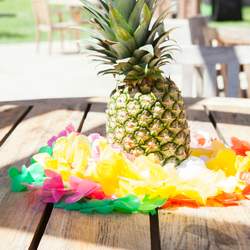 Luau Party - Luau / Hawaiian
