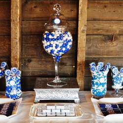 Rustic Class Reunion Party - Rustic, blue and white