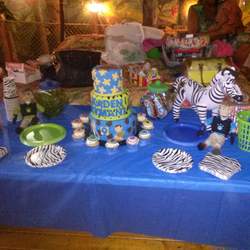 kymani and kadens 9th birthday - wild kratts