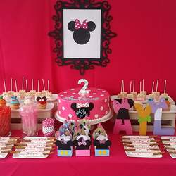 Ayla's 2nd birthday  - Minnie Mouse &  Friends