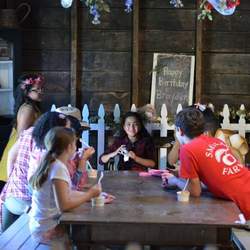 Nyla's Barnyard Vintage Birthday!  - Vintage Barn 