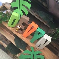 Devyn's Safari - Safari/Jungle