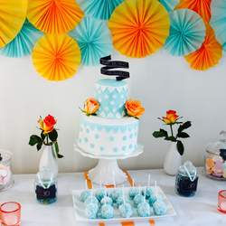 Coral teal party - None