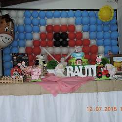 farm animals party for Bauti - Farm