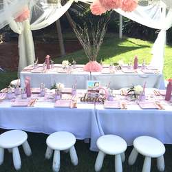 Luna's Beautiful Ballerina Party - Ballerina