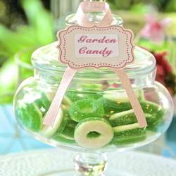 GARDEN THEMED B'DAY PARTY - Garden