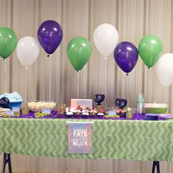 Lily's Fantastic Brave Birthday Party - Brave