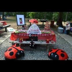 Kayleen 1st Birthday  - Lady Bug 