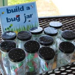We're Buggin' Out! Lincoln is 2 - Bugs