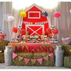 Farm Party para Martino - Farm