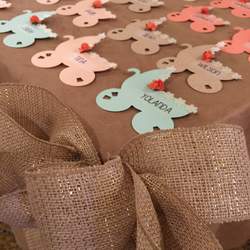 Melissa's Baby Sower - peach and mint shabby chic