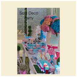 Sol 1st birthday - Butterflys
