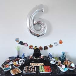 Jérémy 6th birthday - Angry Birds Star Wars
