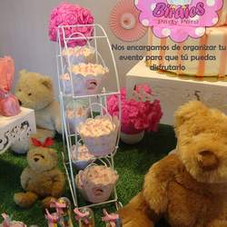 Sweet bear - Bears