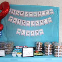Captain Owen's 2nd Birthday Takes Flight! - Airplanes