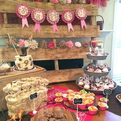 Emily's 9th birthday Cowgirl Style - Cowgirl