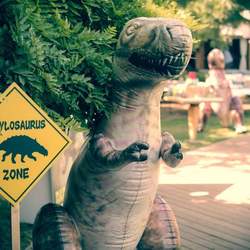 Dinosaur 6th Birthday Party - Dinosaur 