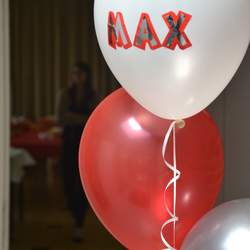 Max welcome to family! - Red & grey