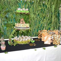 Safari party - Safari