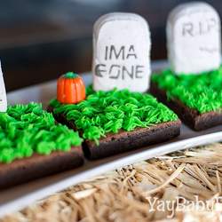 Jax's Spooky Pumpkin Patch - Pumpkin Patch
