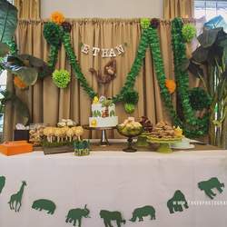 Ethan's Jungle Safari 1st Birthday Party - Jungle