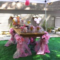 Nicole's Pink Carpet Event - Princess and elephants