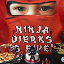 Ninja Academy Birthday Party - Ninja Zone Party