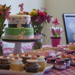 Bug's First Birthday - Ladybugs