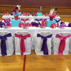 Doc Mcstuffin Birthday Party - Doc McStuffins