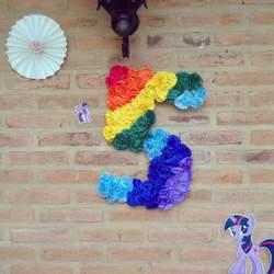 colorful litte pony - litte pony 