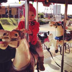 Cupcakes and Carousels  - circus/carousels 