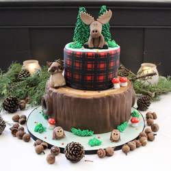 Woodland Baby Shower  - Woodland