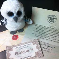 Jake's Magical Birthday Party - Harry Potter