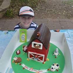 Declins Farm Party - Farm
