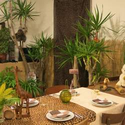 "Jungla Party" - Jungla Safari