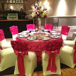 Posh and Hot Pink Quinceanera - Hot Pink