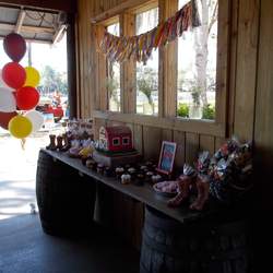 Isabelle's Farm Birthday Bash  - Farm 