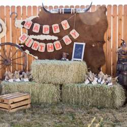 Raydens 2nd Birthday - Farm Animals
