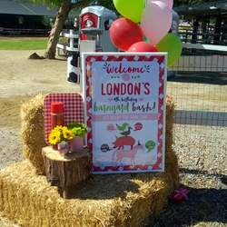 London's Barnyard Bash - Farm Party
