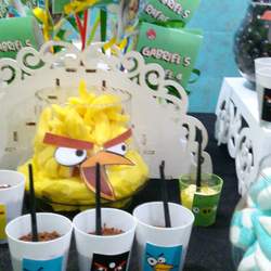 Biel & Rafa birds party - Angry Birds