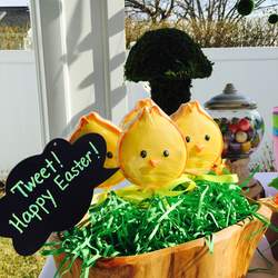 Bunny Egg Hunt - Easter 