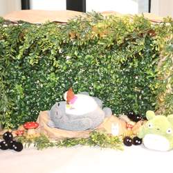 My neigbour Totoro: Henry's first bday party - My neighbour Totoro