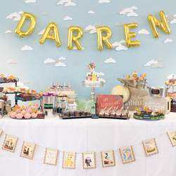 Darren's 1st Birthday Adventure - Up (the movie) 