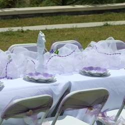 Sofia the first Mermaid 3rd Birthday - Sofia the First